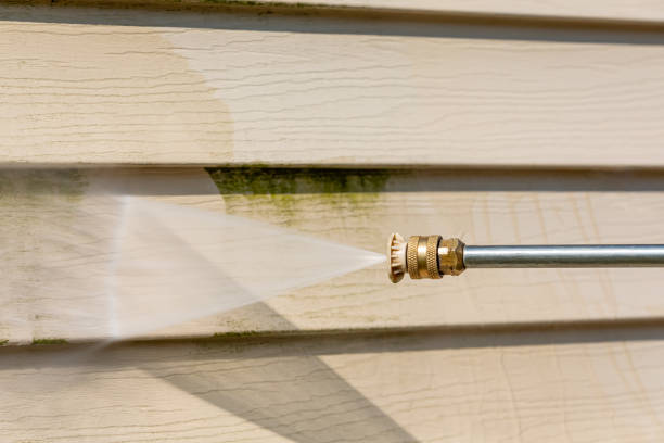 Best Pressure Washing Company Near Me  in Daleville, VA